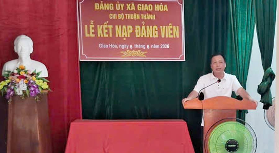 anh tin bai